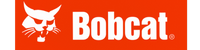 Bobcat